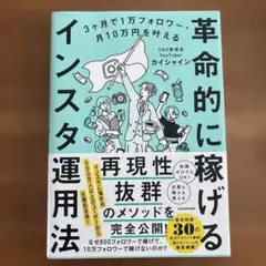 3ヶ月で1万フォロワー・月10万円を叶える 革命的に稼げるインスタ運用法 — image 1
