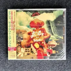 fixxjp様専用 oasis ディグアウトユアソウル — image 1
