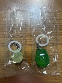 モリゾーとキッコロ めじるしアクセサリー — image 1