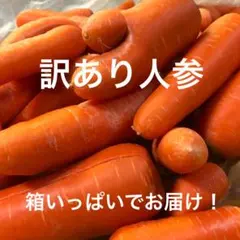 ✳️本日ラスト1箱✳️訳あり人参 箱いっぱい 詰め合わせ — image 1