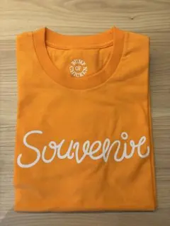 【お値下げ不可】BUMP OF CHICKEN SOUVENIR Tシャツ — image 1