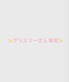 グリズリーさん専用ページ✨ — image 1