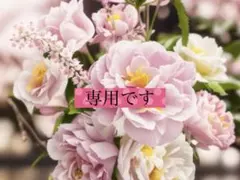 専用 — image 1