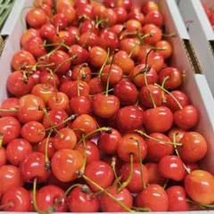 Y　加工用　紅秀峰　１ｋｇ — image 1