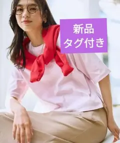 本日限定お値下げ！新品タグ付きエニーオーガニックコットンTシャツ — image 1