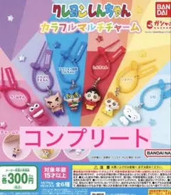 クレヨンしんちゃんカラフルマルチチャーム　コンプリートセット — image 1