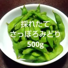 神奈川県産 採れたて 枝豆 500g — image 1