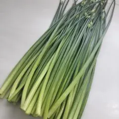 韮の花　700g — image 1