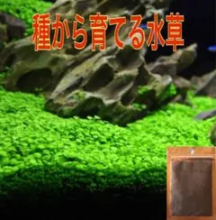 リズゴンゾウハウス様 リクエスト 3点 まとめ商品 — image 1
