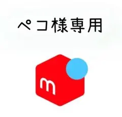 ペコ様専用 — image 1
