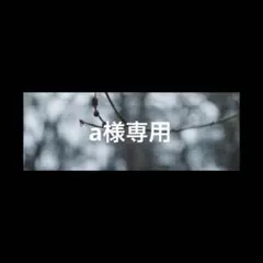 a様専用 — image 1