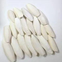 カトルボーン　20枚セット 10㎝～13㎝ — image 1