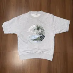 LACOSTE ラコステ 半袖スウェット グレー 36 — image 1