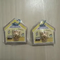 【バラ売り可】MINITEEN SHUASUMI Joshua ジョシュア — image 1