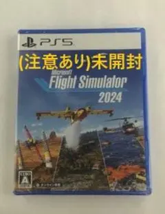 <注意あり> Microsoft Flight Simulator 2024 — image 1