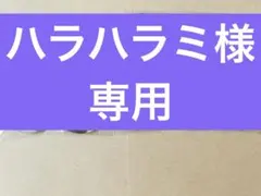 ハラハラミ様　専用ページ　サクヤ3点 — image 1