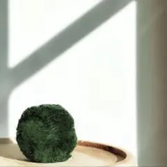 天然マリモ 約2.5cm 1個 — image 1