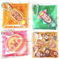 こびとづかんマルチケース　4種セット — image 1