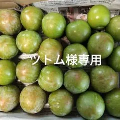 ツトム様専用　ソルダム — image 1