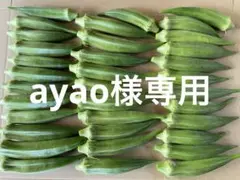 ayao様専用 — image 1