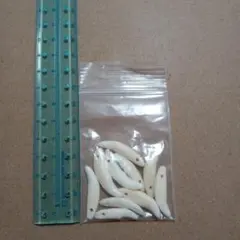 コヨーテの牙sサイズ10本セット　ランダム発送 — image 1
