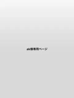 ak様専用ページ — image 1