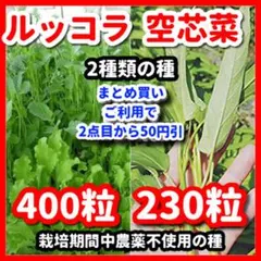 ルッコラ＆空芯菜の種セット⭕️ — image 1