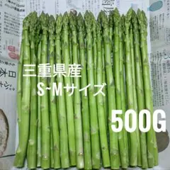 農家直送 三重県産 アスパラガス S~Mサイズ 500g — image 1