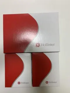 Hollister ニューイメージ 15602 18902 各10枚セット — image 1