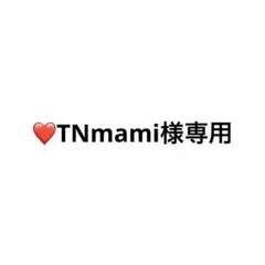 ❤️TNmami　様専用 — image 1