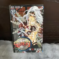 鬼滅の刃 22巻 吾峠呼世晴 コミックス — image 1