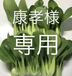ミニチンゲンサイ 青梗菜 約500g — image 1