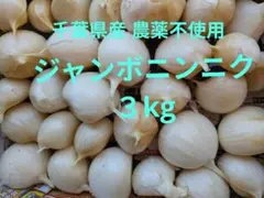 千葉県産 ジャンボニンニク３kg栽培期間中農薬不使用 — image 1