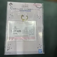 ホワイトタイガーとブラックタイガー　一番くじ Ｃ賞 うさぎ先生　アクリル — image 1