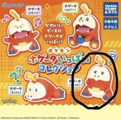 【新品未開封】ポケモン ホゲータいっぱいコレクション ホゲータ(こまった) — image 1