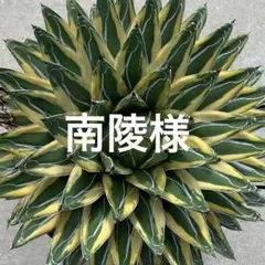 送料追加分 — image 1