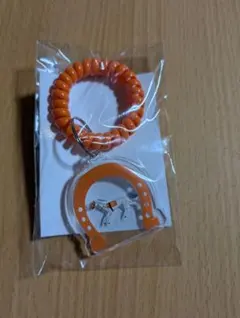 Welcomeチャンス アクリルキーリング 橙&ウマく拭けるクリーナークロス — image 1