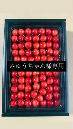 みゅうちゃん様専用 — image 1