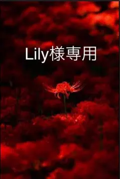 Lily様専用 — image 1