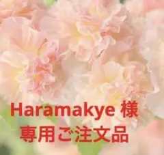 Haramakye 様　専用ご注文品⑥-2 — image 1