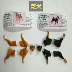 【土日限定価格】芝犬 チョコエッグ ペット動物 １弾【送料込み】2種セット — image 1