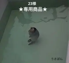 ★23様 専用商品★ — image 1