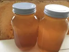 リピーター様特別販売 — image 1