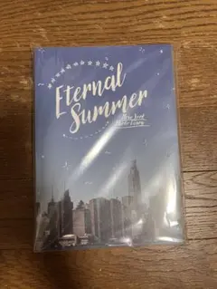 Eternal Summer New York Photo Diary 写真集 — image 1