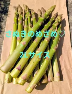 さぬきのめざめ　2Lサイズ　500グラム — image 1