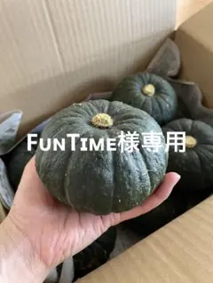 FᴜɴTɪᴍᴇ様専用 — image 1