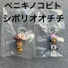 プロフ必読様専用 こびとづかん めじるしアクセサリー — image 1