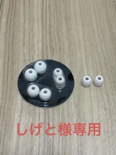 powerbeats pro純正　交換用イヤーピース ホワイト — image 1