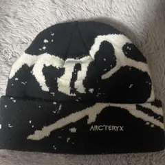 ARC'TERYX FERNIE TOQUE ニット帽 — image 1