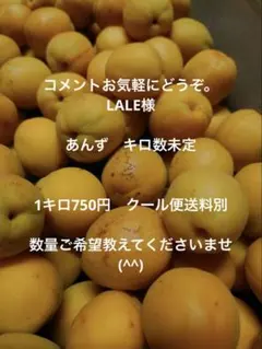 コメントお気軽にどうぞ。LALE様専用　クール便送料別 — image 1